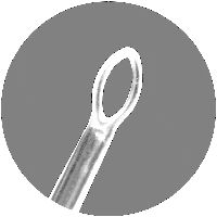 Orgmed Ohrkürette - 50 Stück