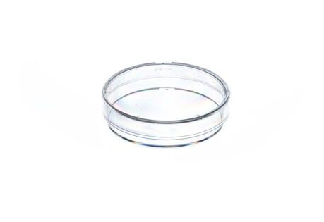 Greiner Petrischale mit Nocken - 60 x 15 mm - 20 Stück