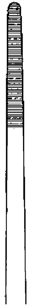 Zepf Ohr- und Nasenpinzette - 14 cm - 1 Stück