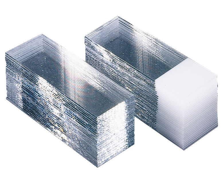 Süsse Objektträger 76 x 26 mm - ohne Mattrand - 50 Stück