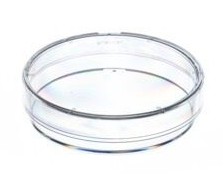 Greiner Petrischale mit Nocken - 60 x 15 mm - 20 Stück