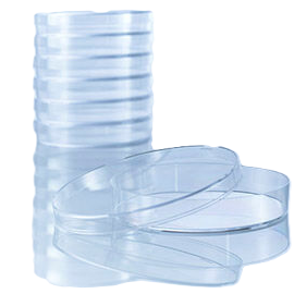 Glasklare Einmal-Petrischalen -  ø 94 mm - 20 Stück