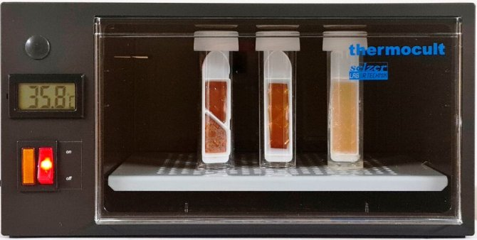 Einlegeboden Thermocult Bakterienbrutschrank