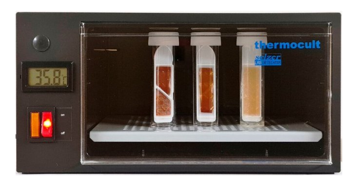 Brutschrank
